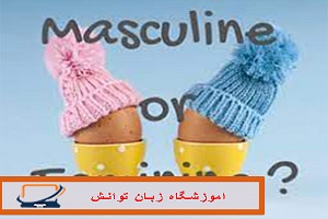 مذکر یا مونث در فرانسوی